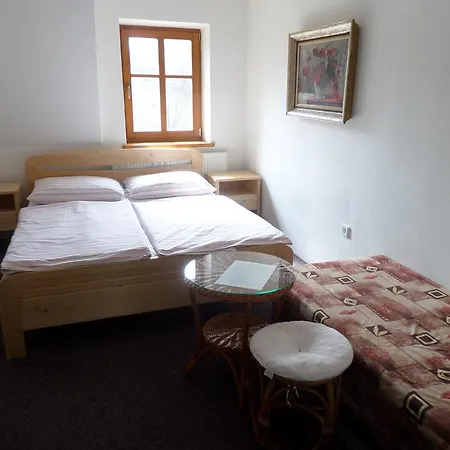 Kralicka Πανσιόν Staré Město
