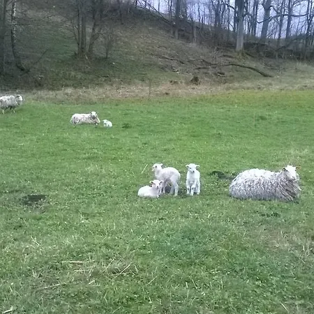 Kralicka Staré Město