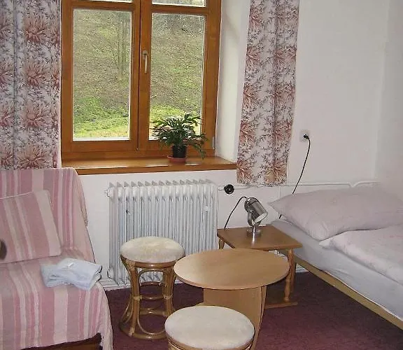 Kralicka 3* Staré Město