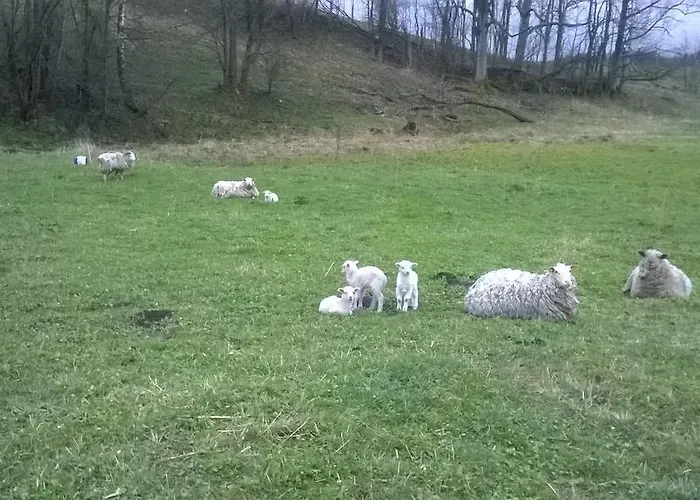 Kralicka Staré Město